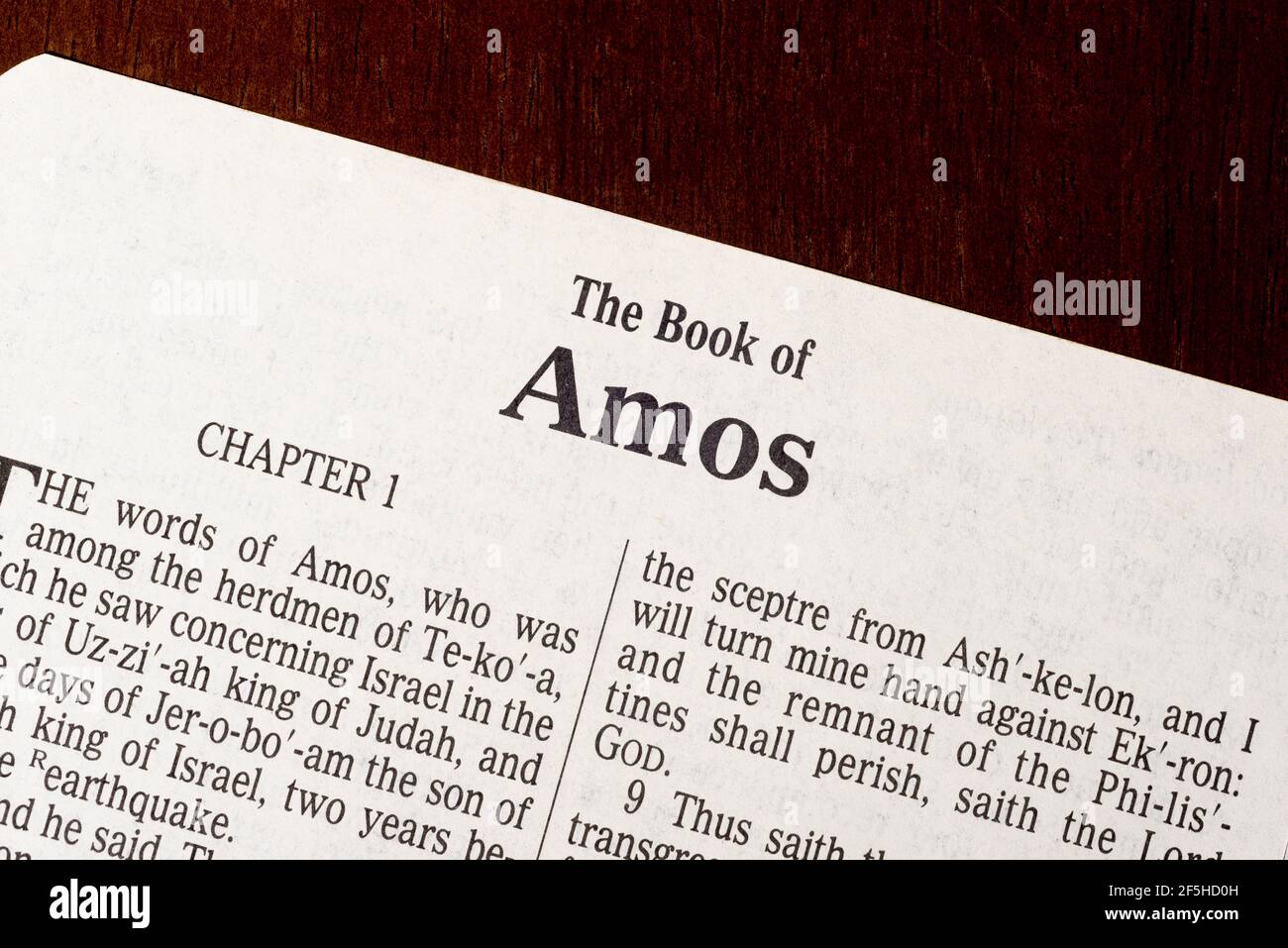 Titolo pagina del Libro di Amos Foto Stock