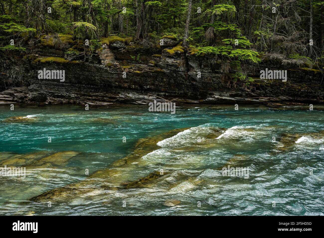 Scogliere di muschio su McDonald Creek nel Glacier National Park Foto Stock