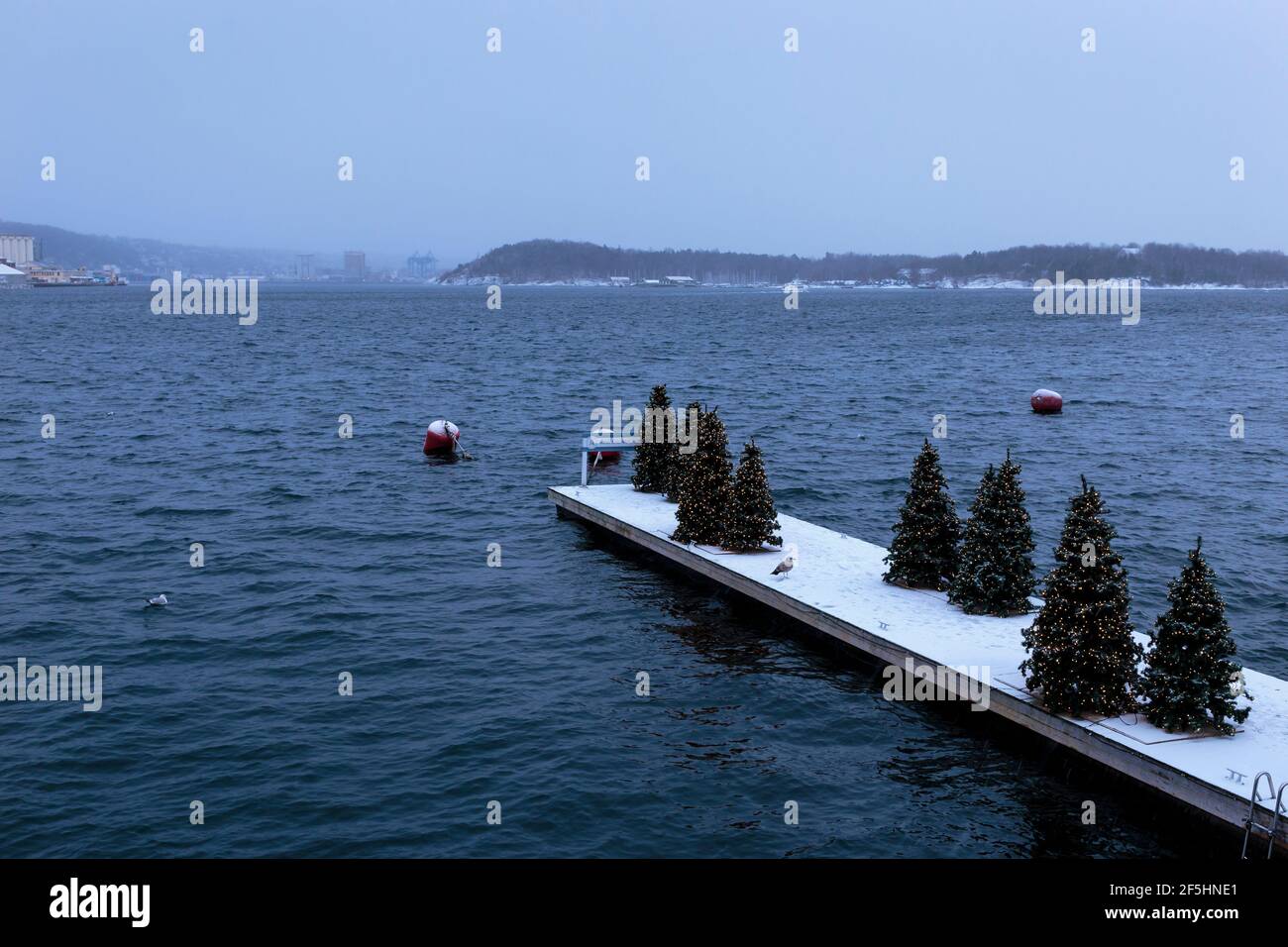 Le decorazioni dell'albero di Natale si trovano su un molo a Tjuvholmen, un quartiere situato sulla costa dell'Oslofjord, a Oslo, Norvegia Foto Stock