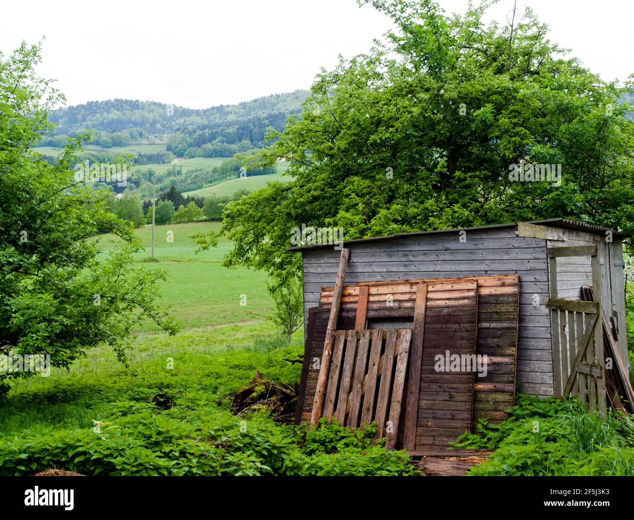 Fattoria annesso e verde Waldviertel (quartiere forestale) campagna in primavera, Yspertal, bassa Austria Foto Stock