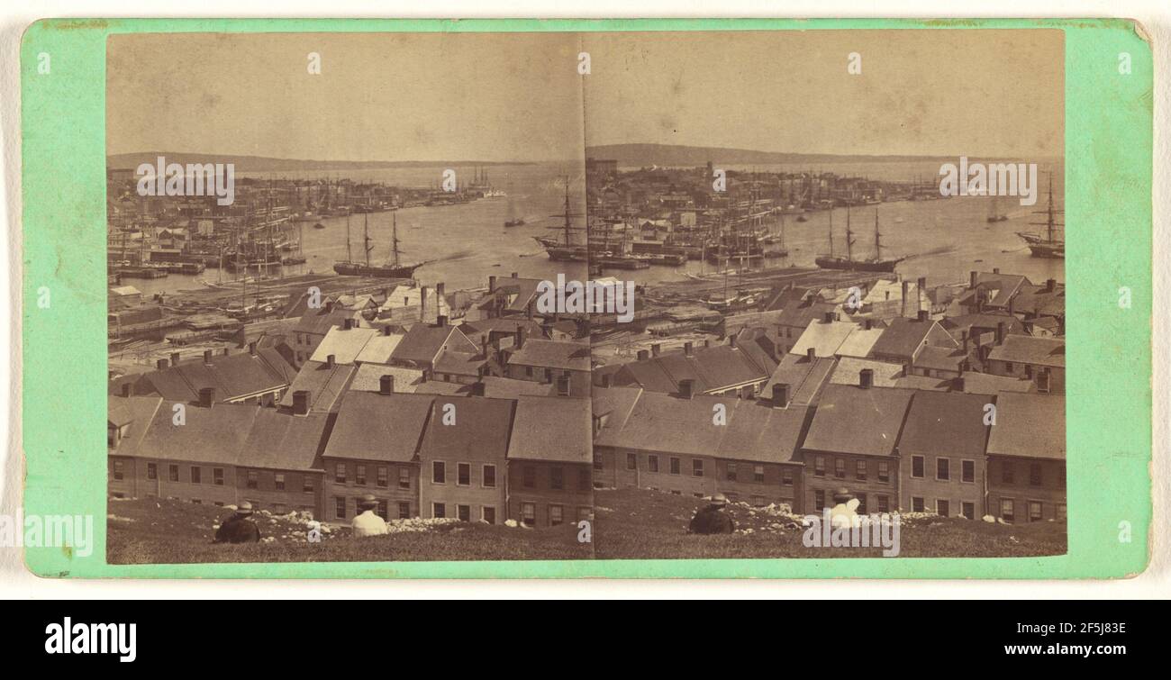 Vista sul porto di St. John, New Brunswick, Canada. J.R. Woodburn (canadese, attivo 1870) Foto Stock