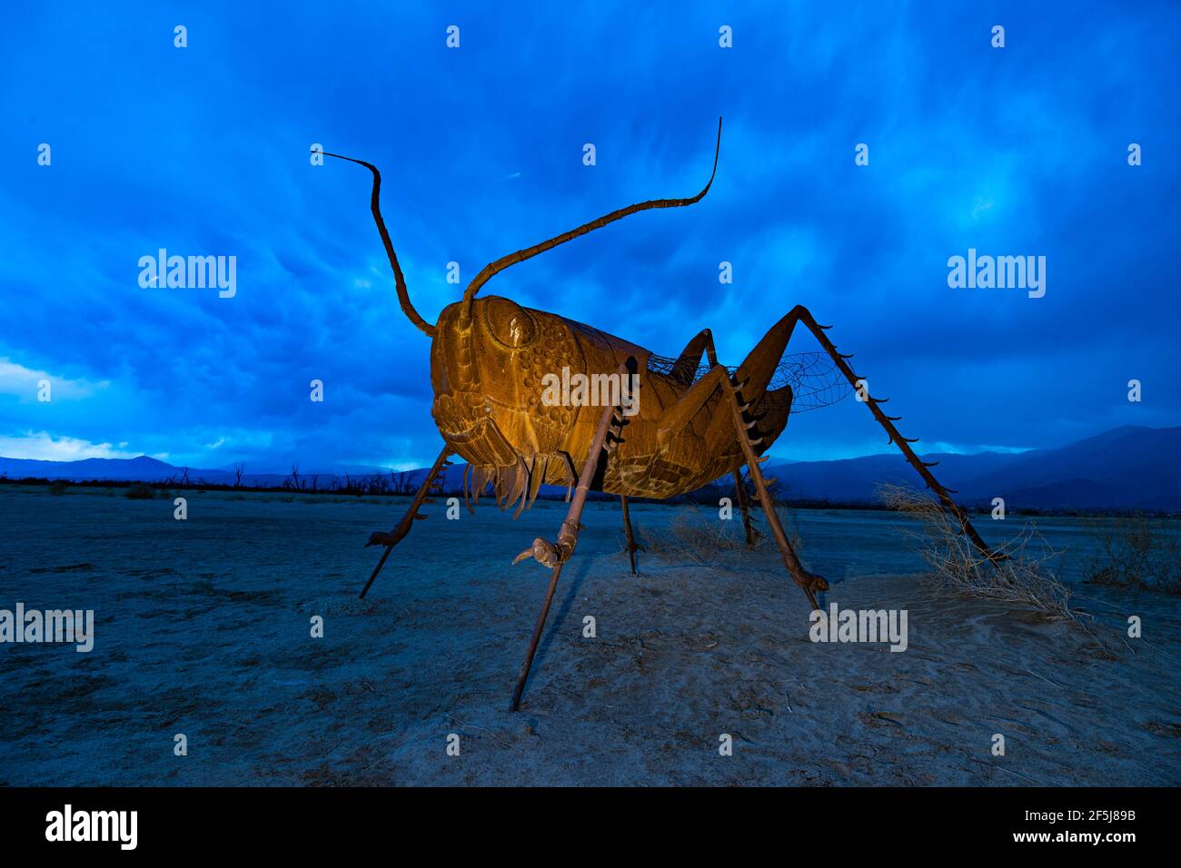 Borrego Springs, California. 23 marzo 2021. Una scultura di una locusta dell'artista messicano Ricardo Breceda durante un pomeriggio di primavera tempestoso. Foto Stock