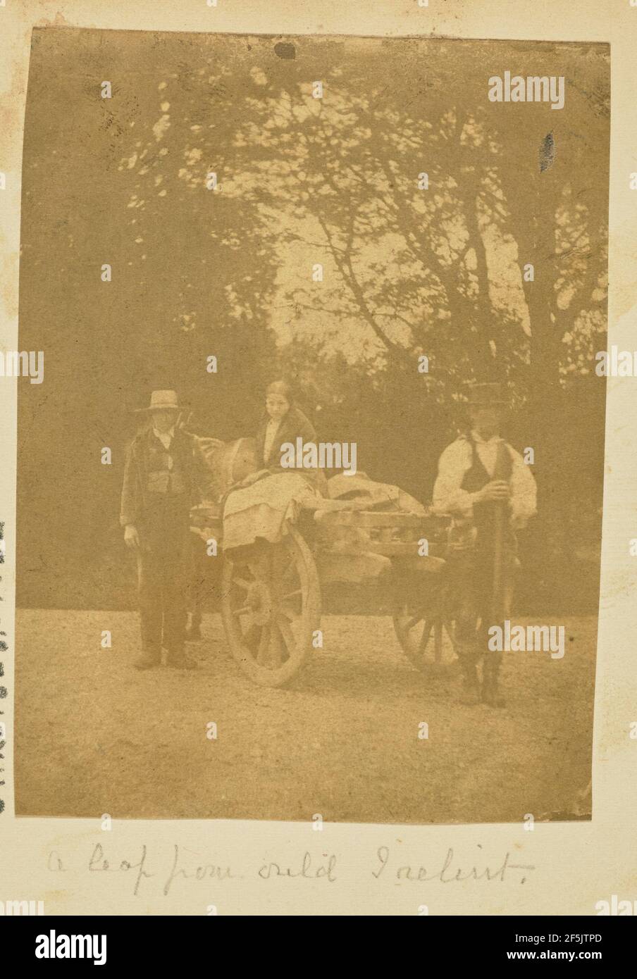 Gruppo in posa con carrello trainato da cavalli. Produttore sconosciuto Foto Stock