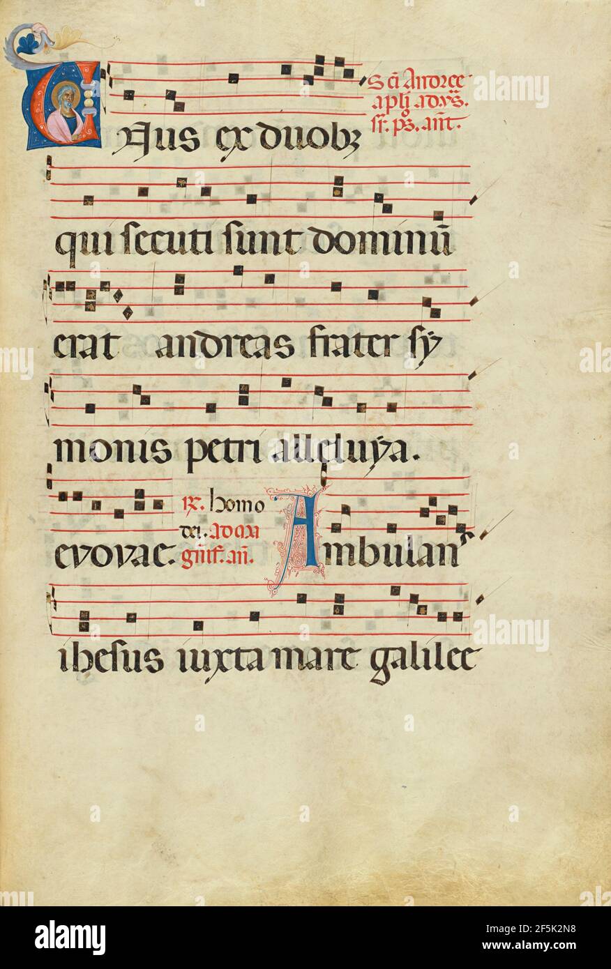 U iniziale: Sant'Andrea. Sconosciuto Foto Stock