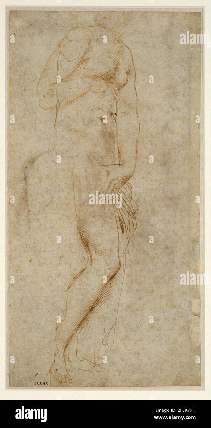 Raffaello - Nach rechts stehender weiblicher Akt, der Kopf ist halb abgeschnitten (Venus Mazarin), 36046v. Foto Stock