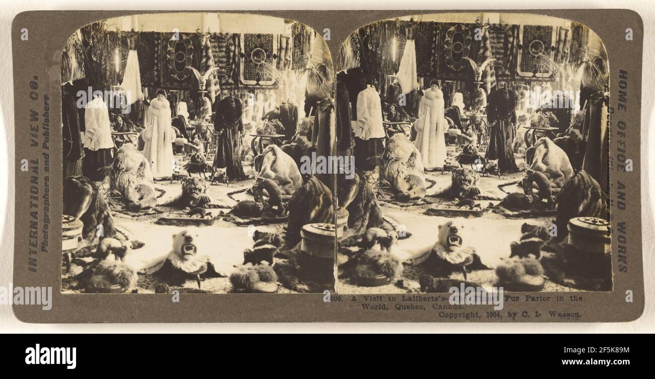 Una visita al Laiberte's - il piu' bel Fur Parlor del mondo, Quebec, Canada. Charles L. Wasson (americano, attivo dal 1900 al 1910) Foto Stock
