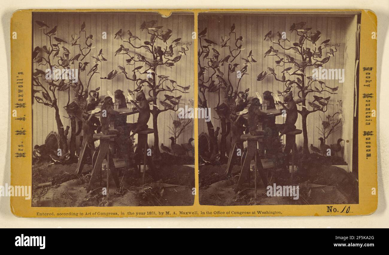 Scimmie e uccelli al museo delle Montagne Rocciose della signora Maxwell. W. G. Chamberlain (americano, 1815 - 1910) Foto Stock
