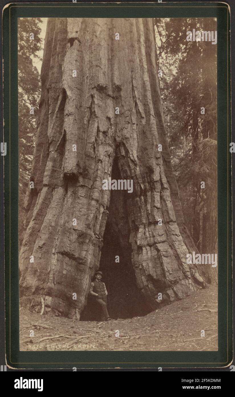 Smiths Cabin. William Henry Jackson (americano, 1843 - 1942) Foto Stock