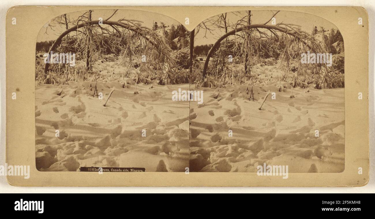 Ice Grove, lato Canada, Niagara. Charles Bierstadt (americano, nato Germania, 1819 - 1903) Foto Stock