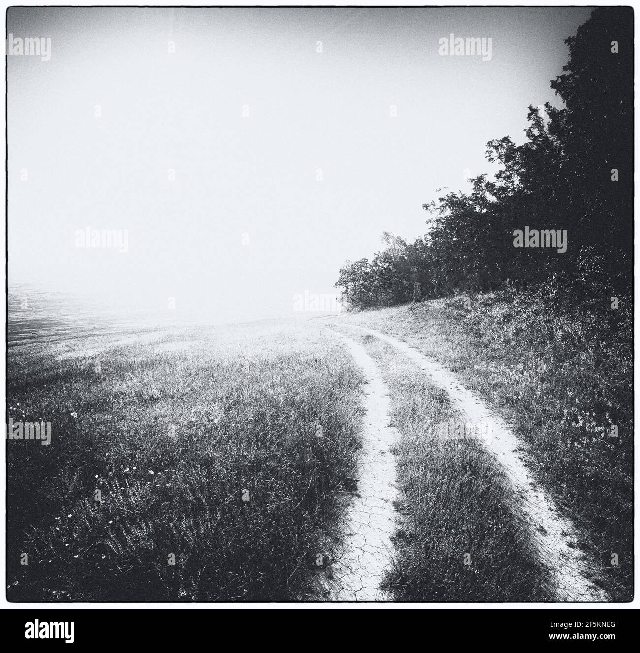 Corsia a sconosciuto . Arte fotografia della natura. Foto Stock