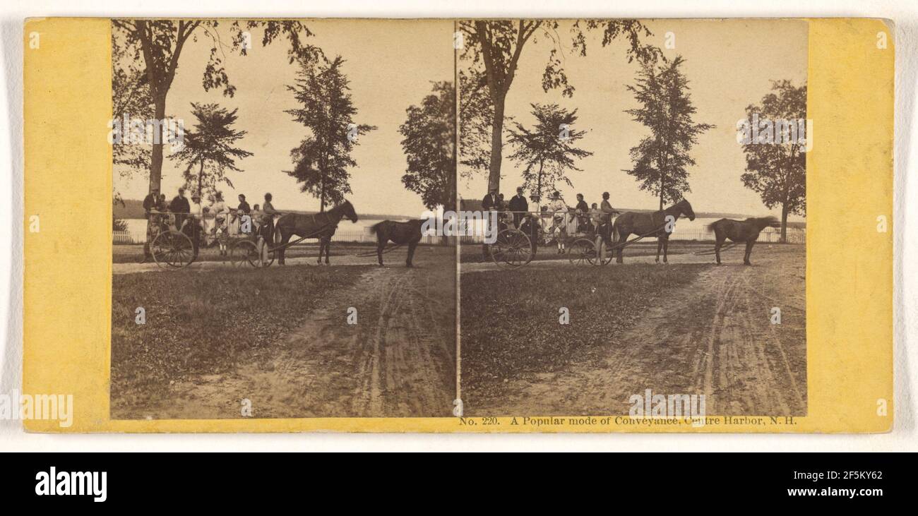 Una modalità di trasporto molto diffusa, Center Harbor, N.H.. John P. Soule (americano, 1827 - 1904) Foto Stock
