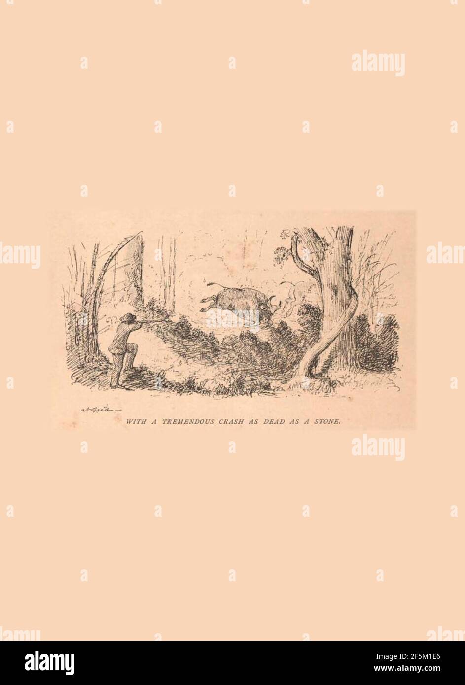 Record di sport in India meridionale Foto Stock