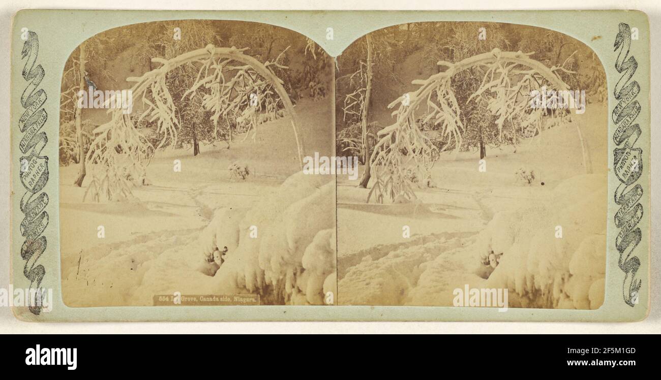 Ice Grove, lato Canada, Niagara. Charles Bierstadt (americano, nato Germania, 1819 - 1903) Foto Stock