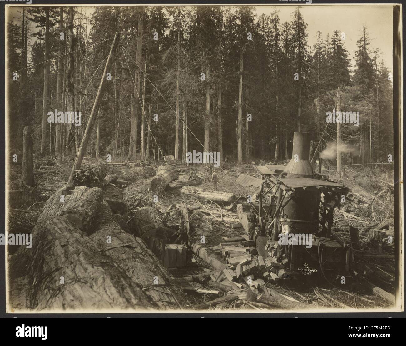 Registrazione/scena del legname. Darius Kinsey (americano, 1869 - 1945) Foto Stock