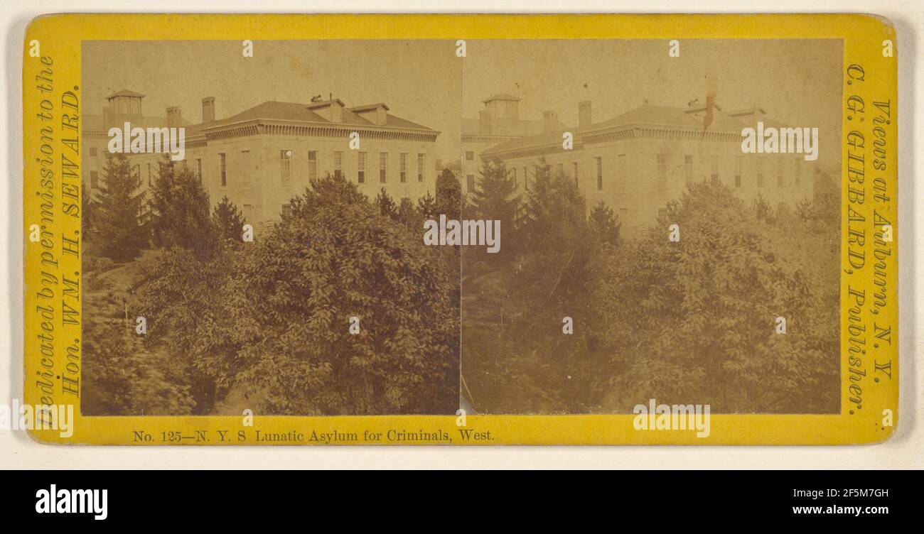 N.Y.S. Asilo lunatico per i criminali, Occidente. Auburn, New York. Christopher G. Gibbard (americano, 1832 - 1890) Foto Stock
