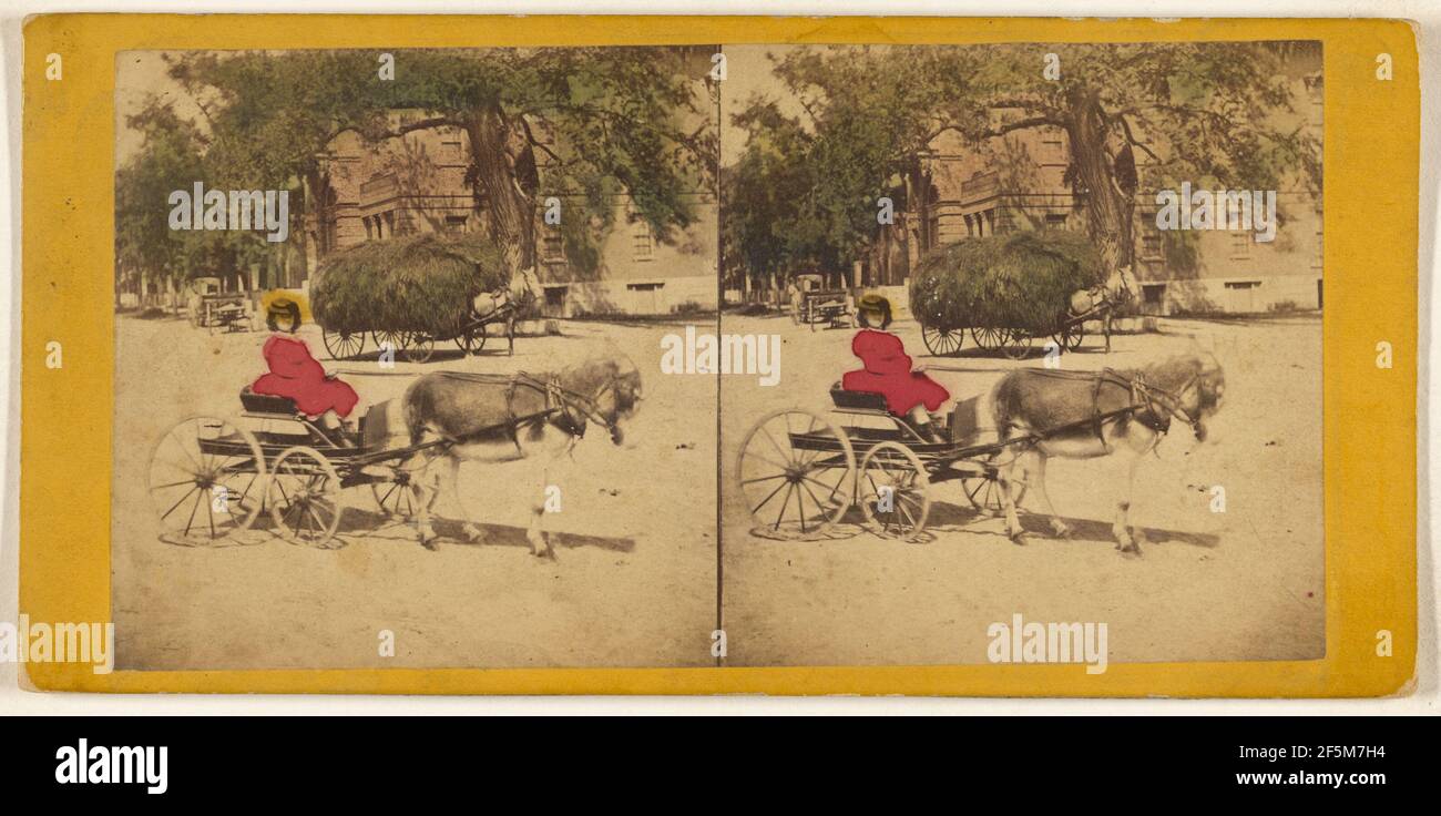 Donna in carrozza trainata da asino, carro da fieno in background. Charles A. Beckford (americano, attivo nel 1870) Foto Stock