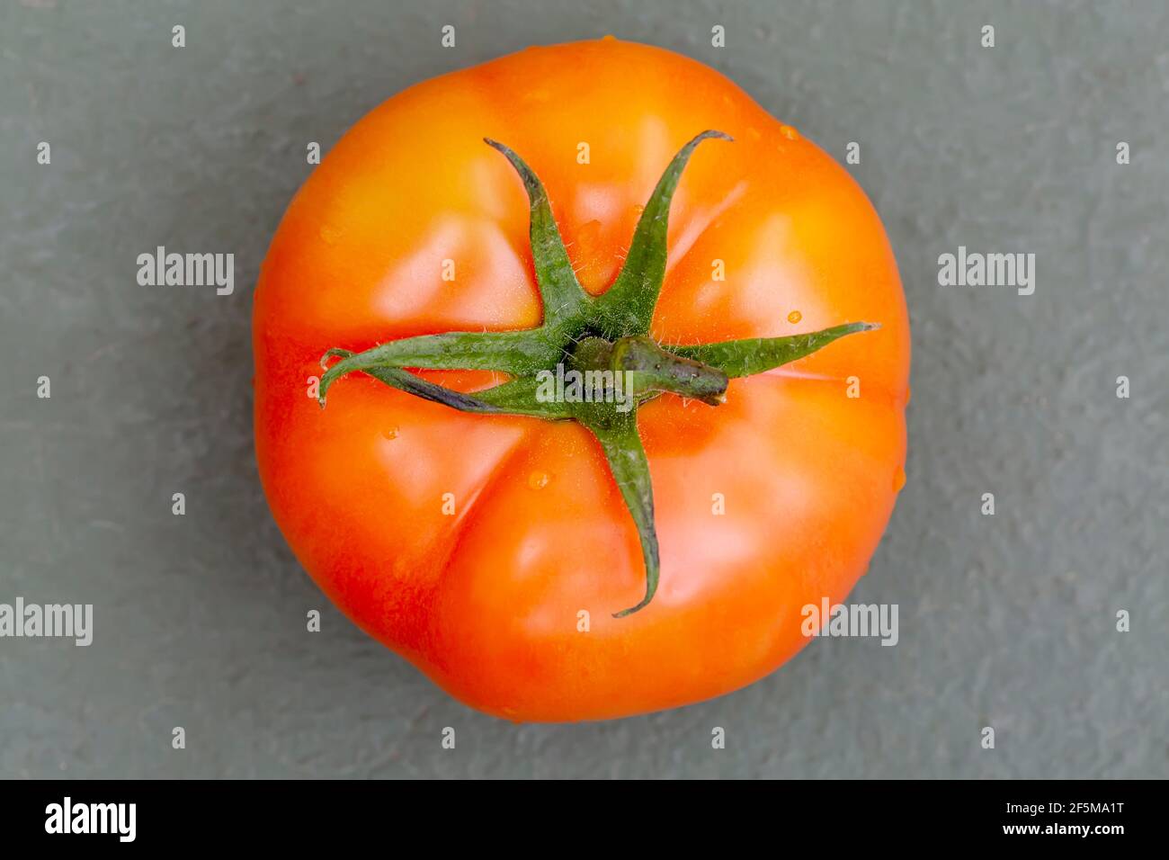 pomodoro maturo isolato su fondo di legno. Foto Stock pomodoro maturo isolato su fondo di legno. Foto Stock