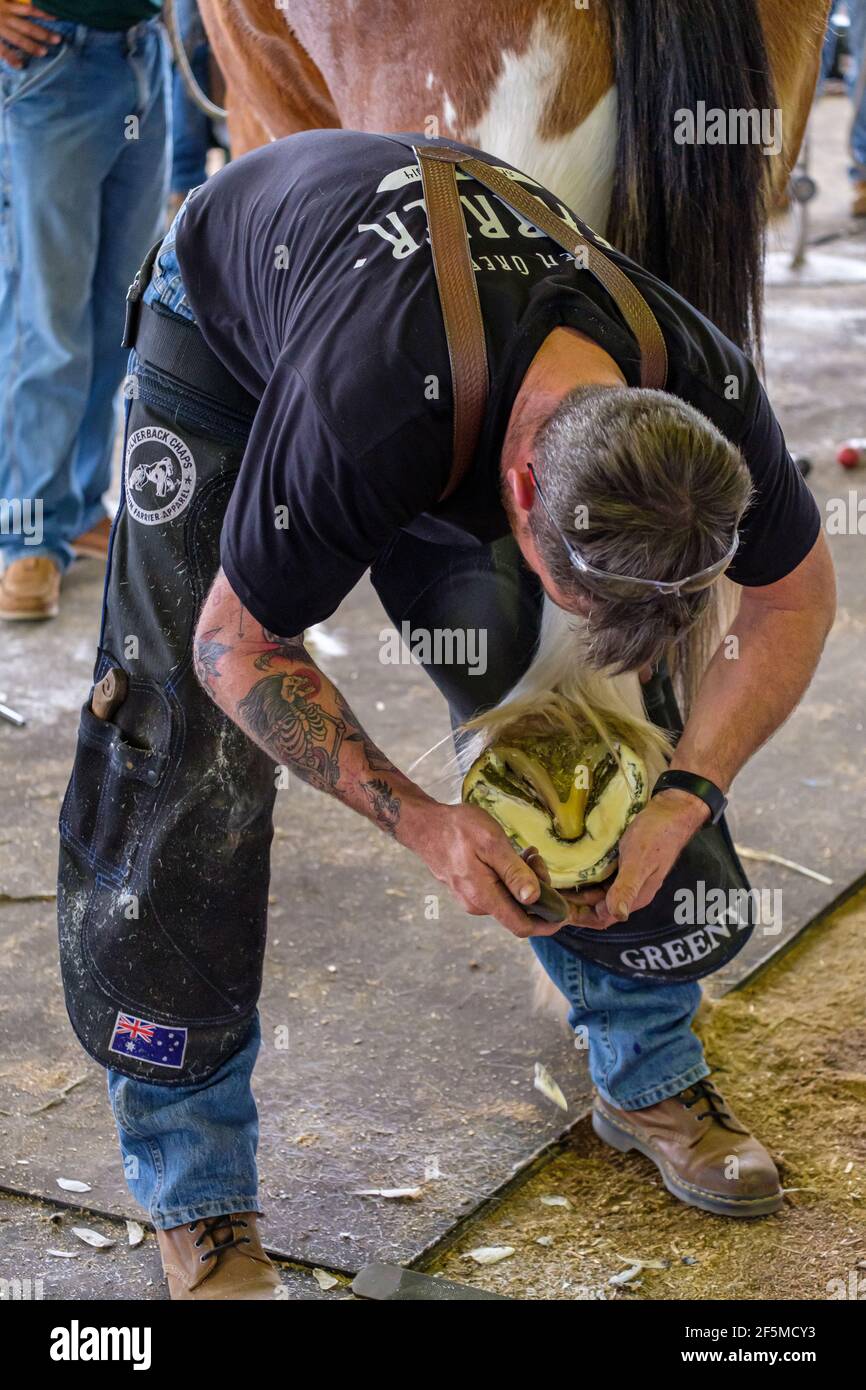 2019 Ekka - fabbri e guerrieri Foto Stock