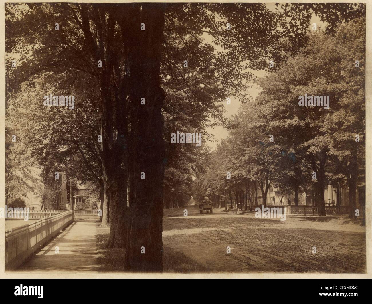 Strada alberata, Maple City. Edward H. Hart (americano, attivo circa 1890) Foto Stock