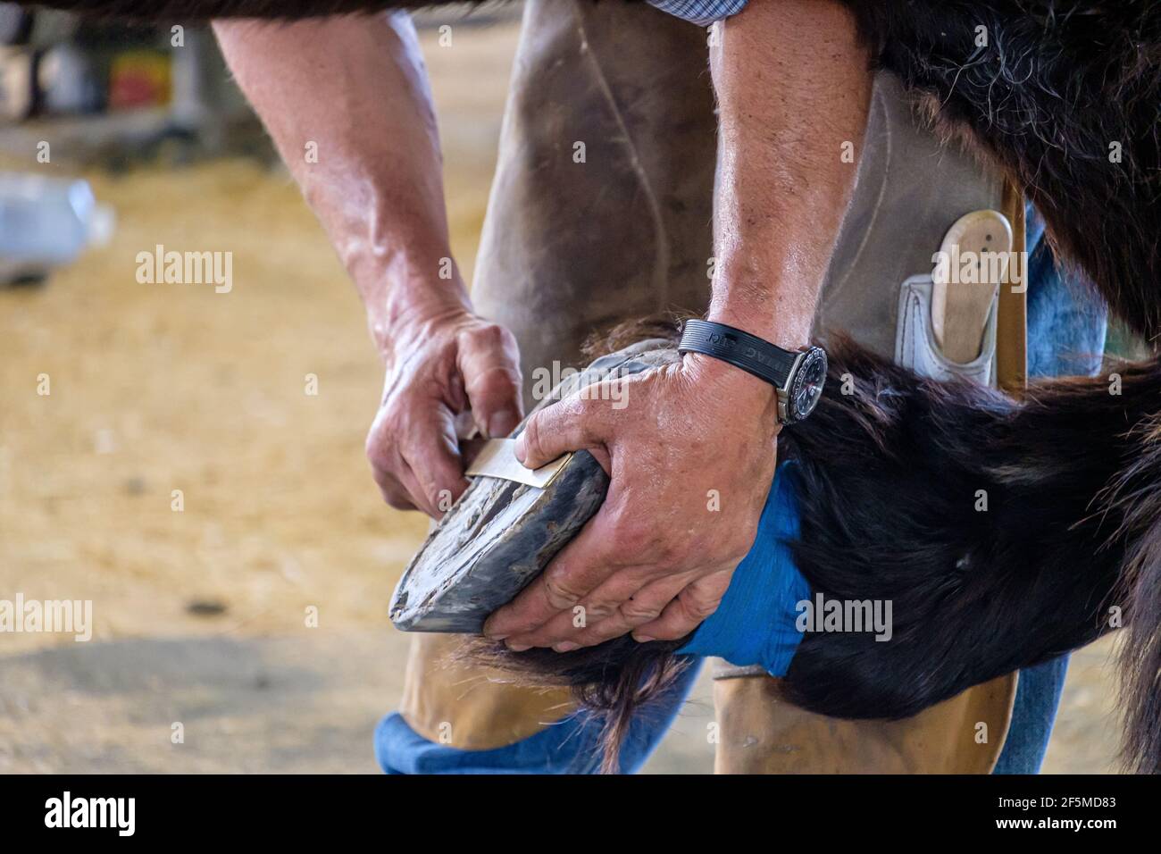 2019 Ekka - fabbri e guerrieri Foto Stock