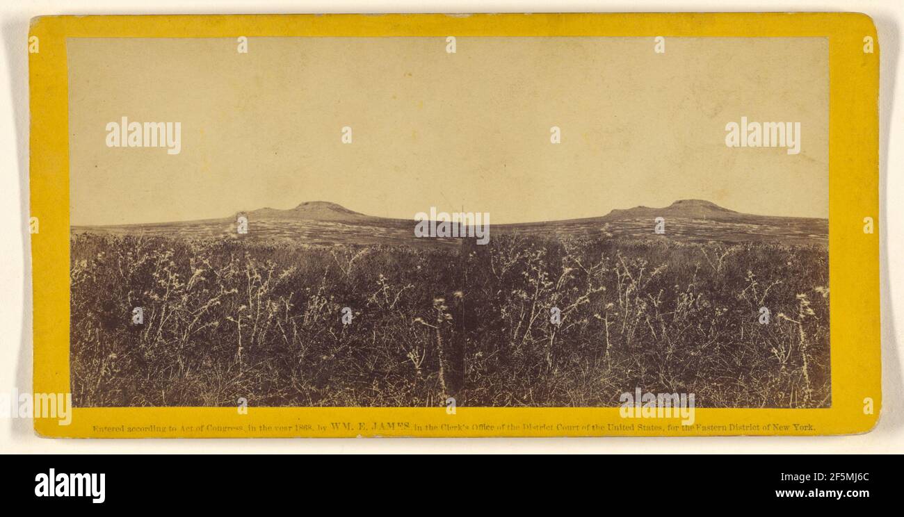 Mt. Di Beatitudini. Dove fu consegnato l'inimitabile Sermone sul Monte. Su questa pianura Cristo nutrì miracolosamente... quattromila. William E. James (americano, attivo nel 1870) Foto Stock