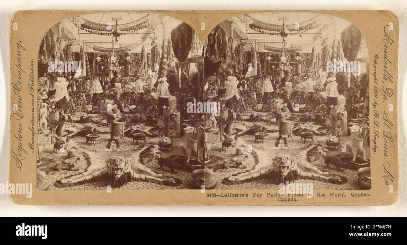Laliberte's Fur Parlor - migliore nel mondo, Quebec, Canada. B. L. Singley (americano, 1864 - 1938) Foto Stock