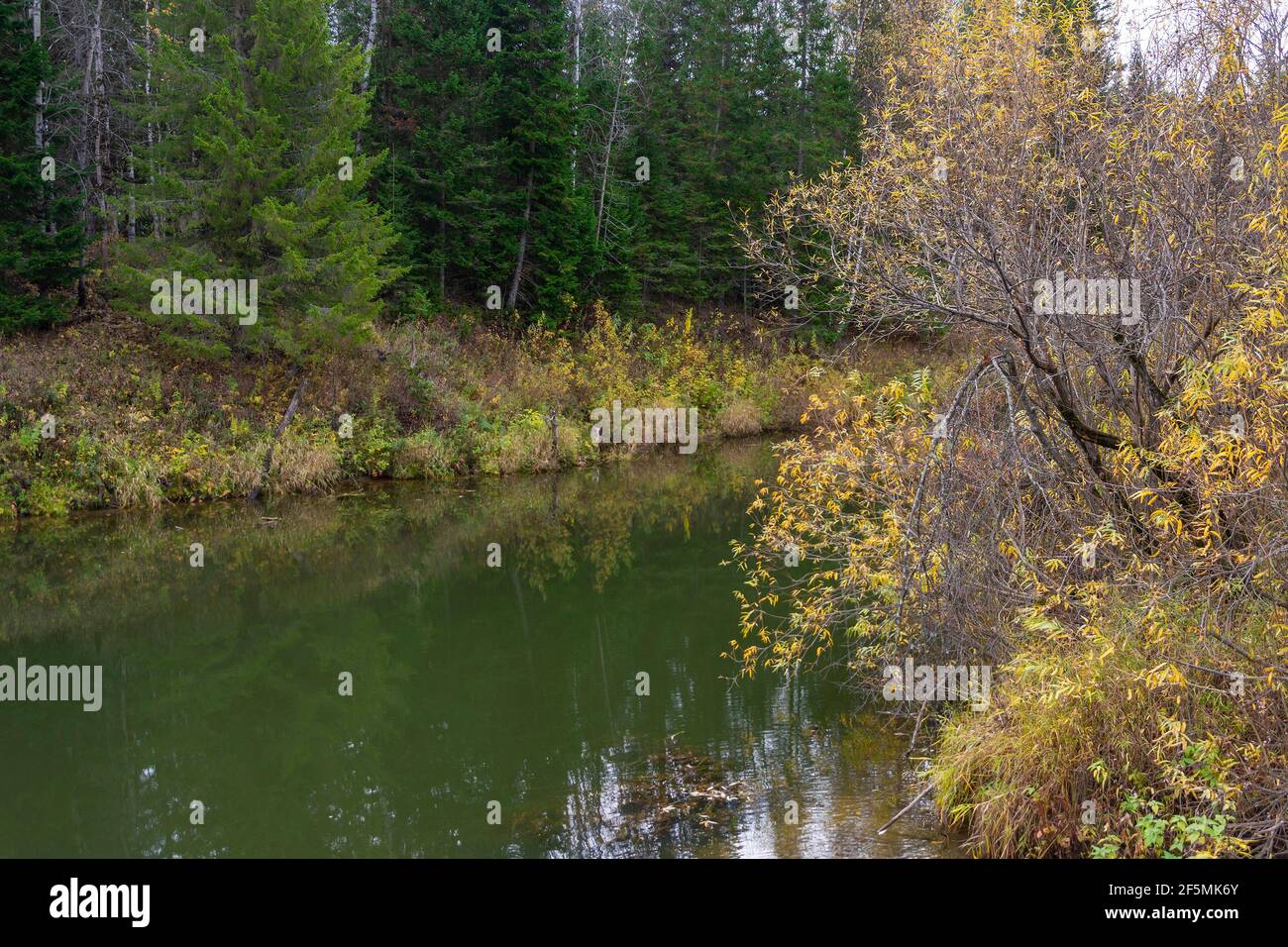 Le rive autunnali del fiume Taiga Yaya, Kemerovo regione-Kuzbass Foto Stock