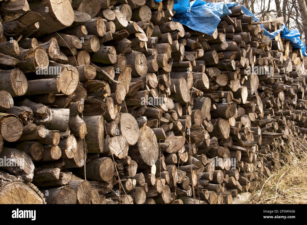 legno appiattito in pile pulite Foto Stock