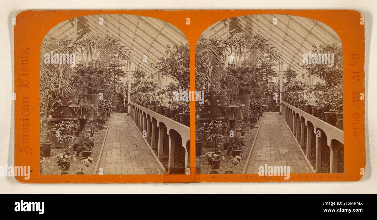 U.S. Conservatory, Washington, D.C. William M. Chase (americano, 1817 - 1901) Foto Stock