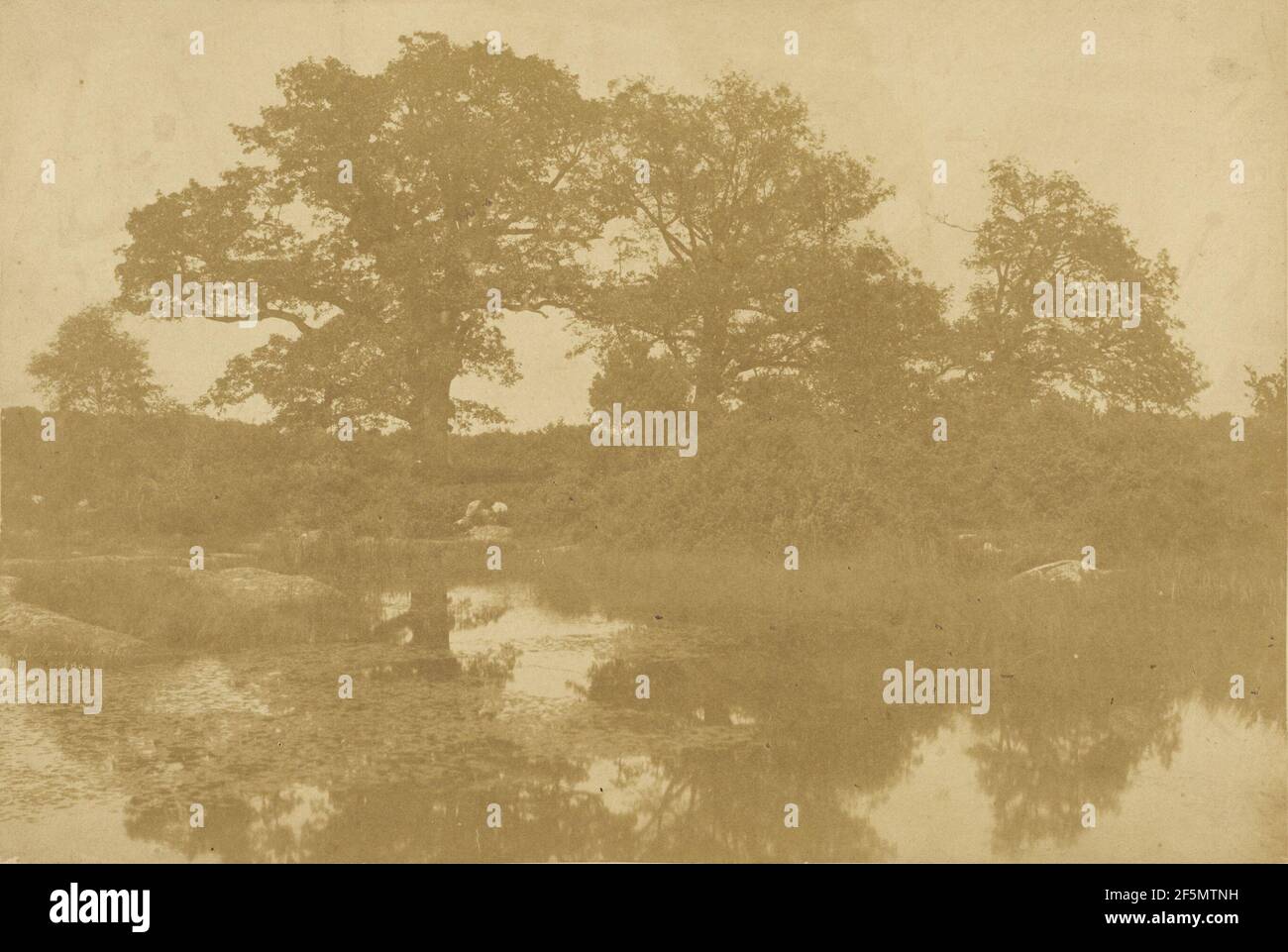 Forêt de Fontainebleau. Charles Marville (francese, 1813 - 1879) Foto Stock