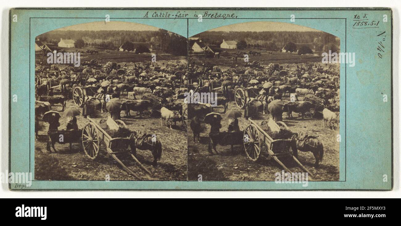 Una fiera del bestiame in Bretagna.. Produttore sconosciuto, francese Foto Stock