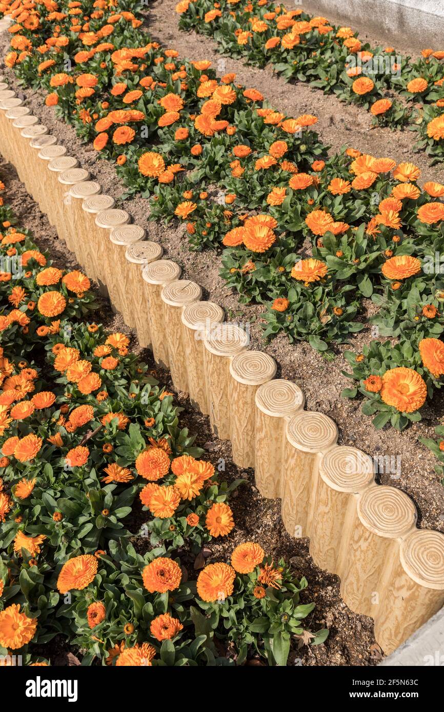 Legno di plastica utilizzato per la produzione di aiuole in rilievo, Tokiwa Park, Ube City, Yamaguchi, Giappone Foto Stock