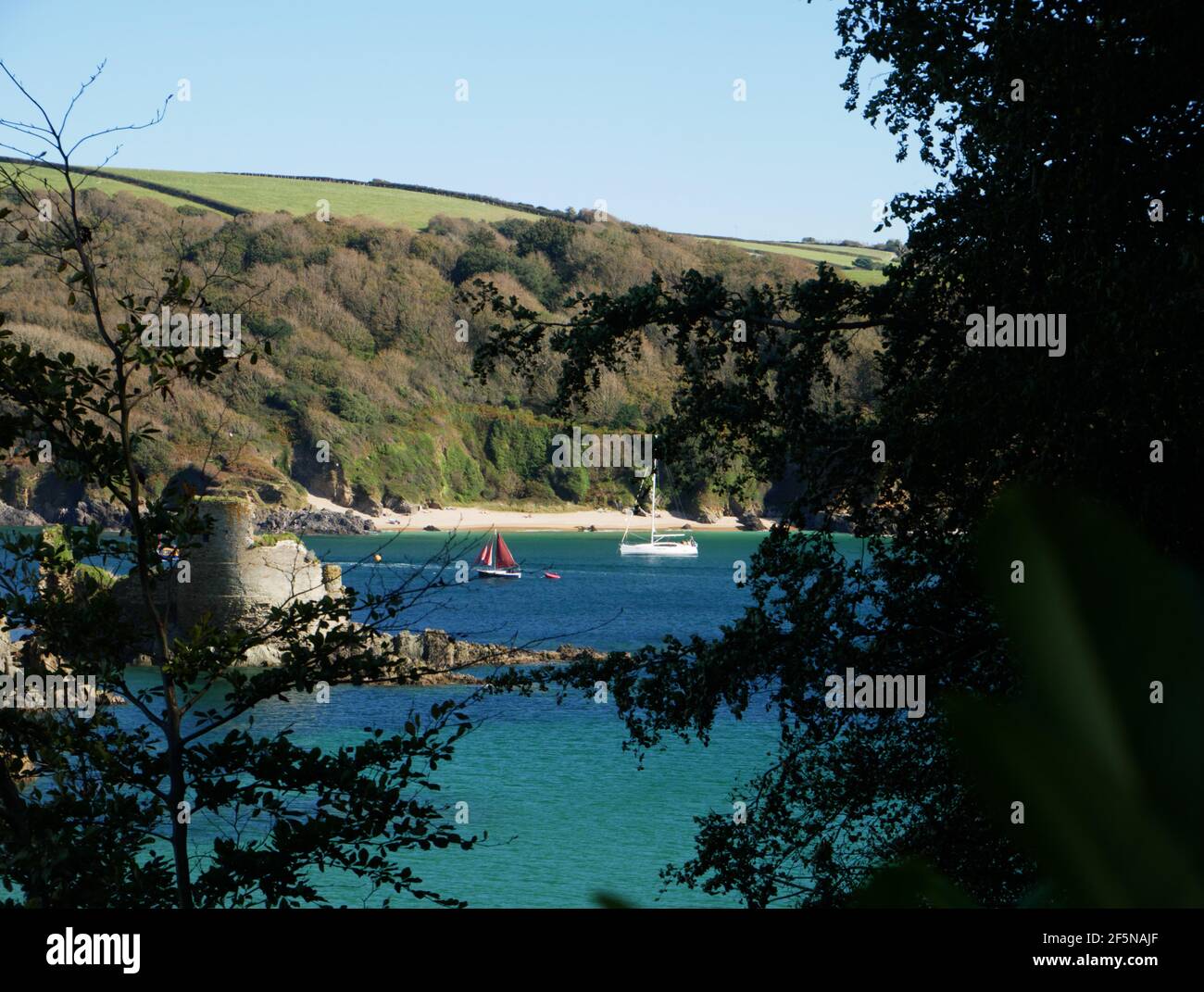 Navigando verso Salcombe, nel Devon Sud, si oltrepassano le rovine del castello del XVI secolo. Foto Stock