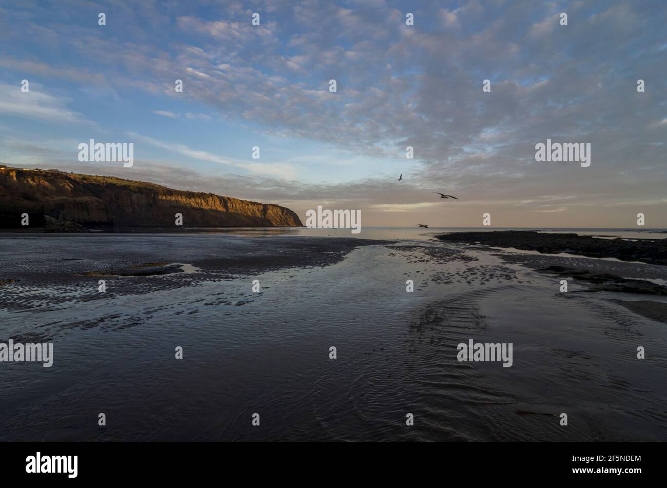 La spiaggia di Robin Hood's Bay, North Yorkshire, Regno Unito, in un luminoso pomeriggio invernale. Foto Stock