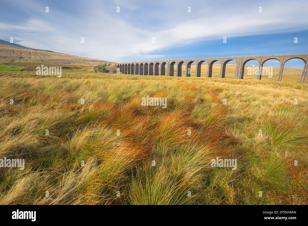 Viadotto Ribblehead o Viadotto ferroviario di Batty Moss nella Ribble Valley di Ribblesdale nel Parco Nazionale delle Dales dello Yorkshire, Regno Unito. Foto Stock