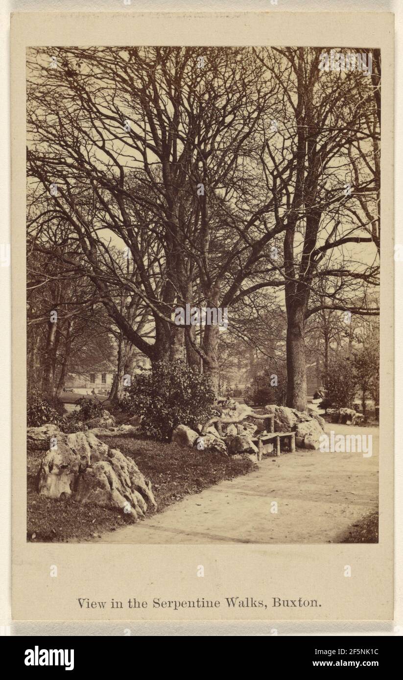 Vista nelle passeggiate Serpentine, Buxton.. Thomas Ogle (inglese, 1813 - circa 1882) Foto Stock