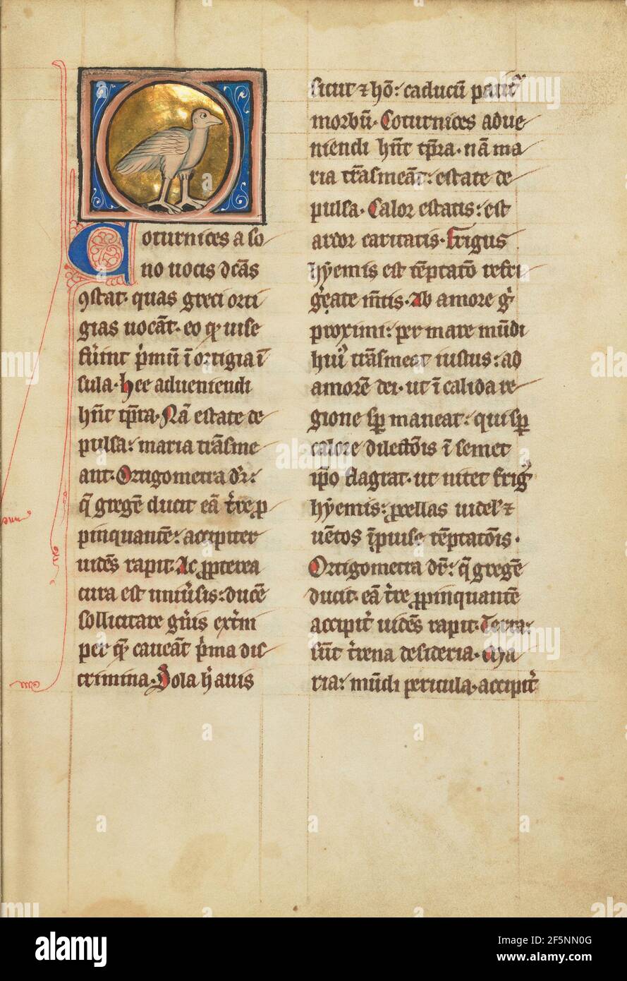 Una coda. Sconosciuto Foto Stock