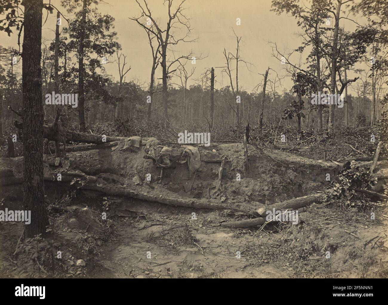 Campo di battaglia di New Hope Church, Georgia, n. 2. George N. Barnard (americano, 1819 - 1902) Foto Stock