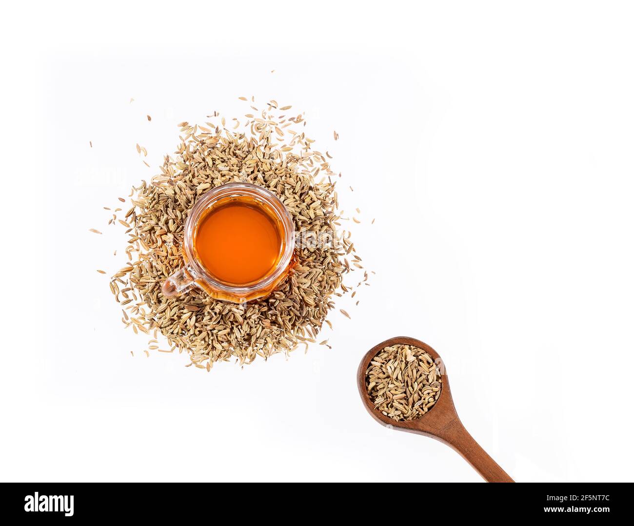 Foeniculum vulgare - tè alle erbe finocchio in tazza di vetro con semi di finocchio secchi Foto Stock