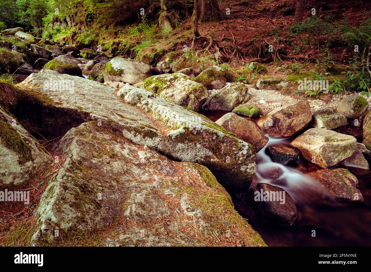 Piccolo fiume che scorre tra le rocce in alta Foresta Nera vicino Menzenschwand, Baden-Württemberg, Germania - lunga esposizione Foto Stock