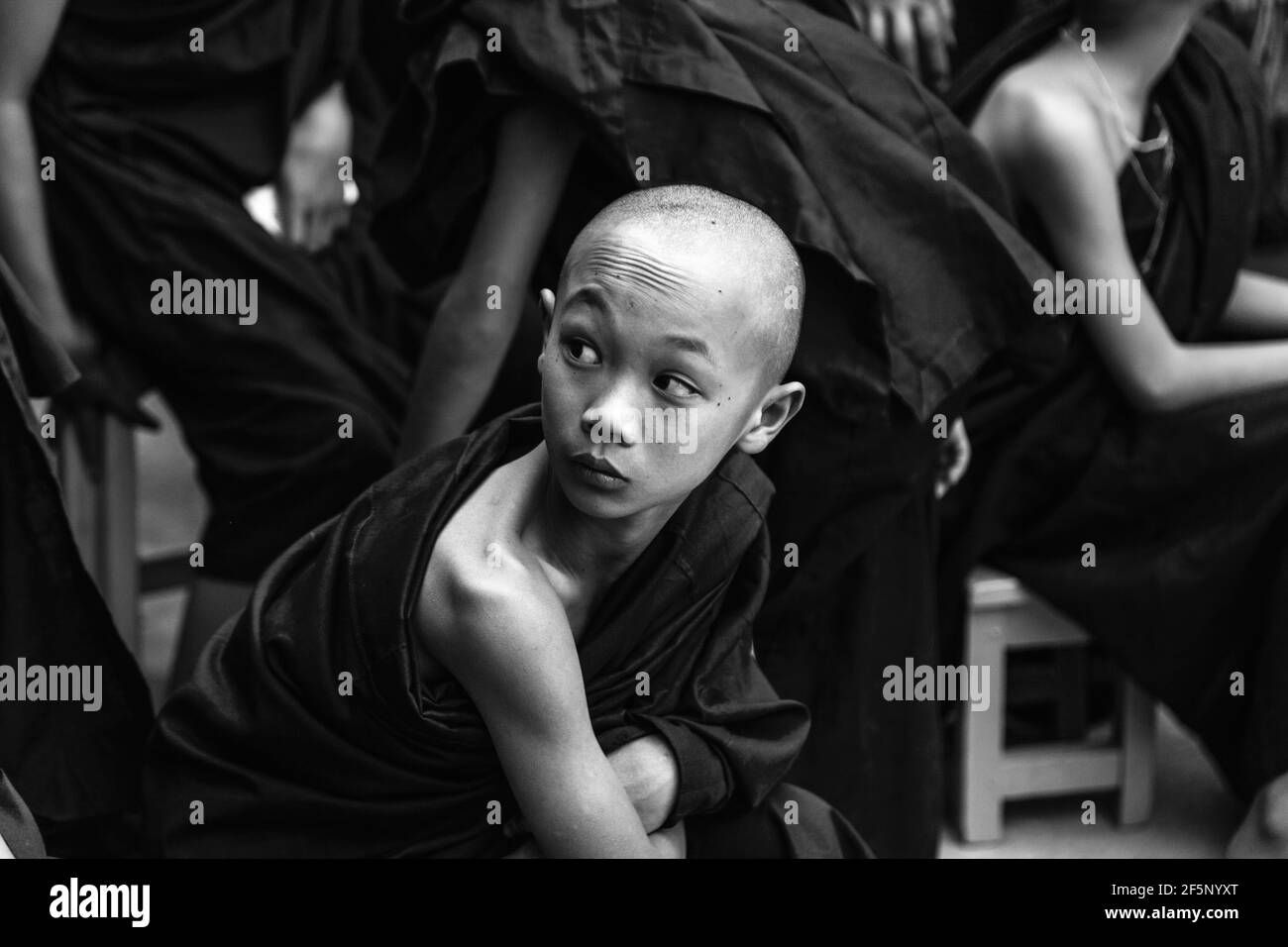 Il debuttante monaci buddisti, Nyaung Shwe, Lago Inle, Myanmar Foto Stock