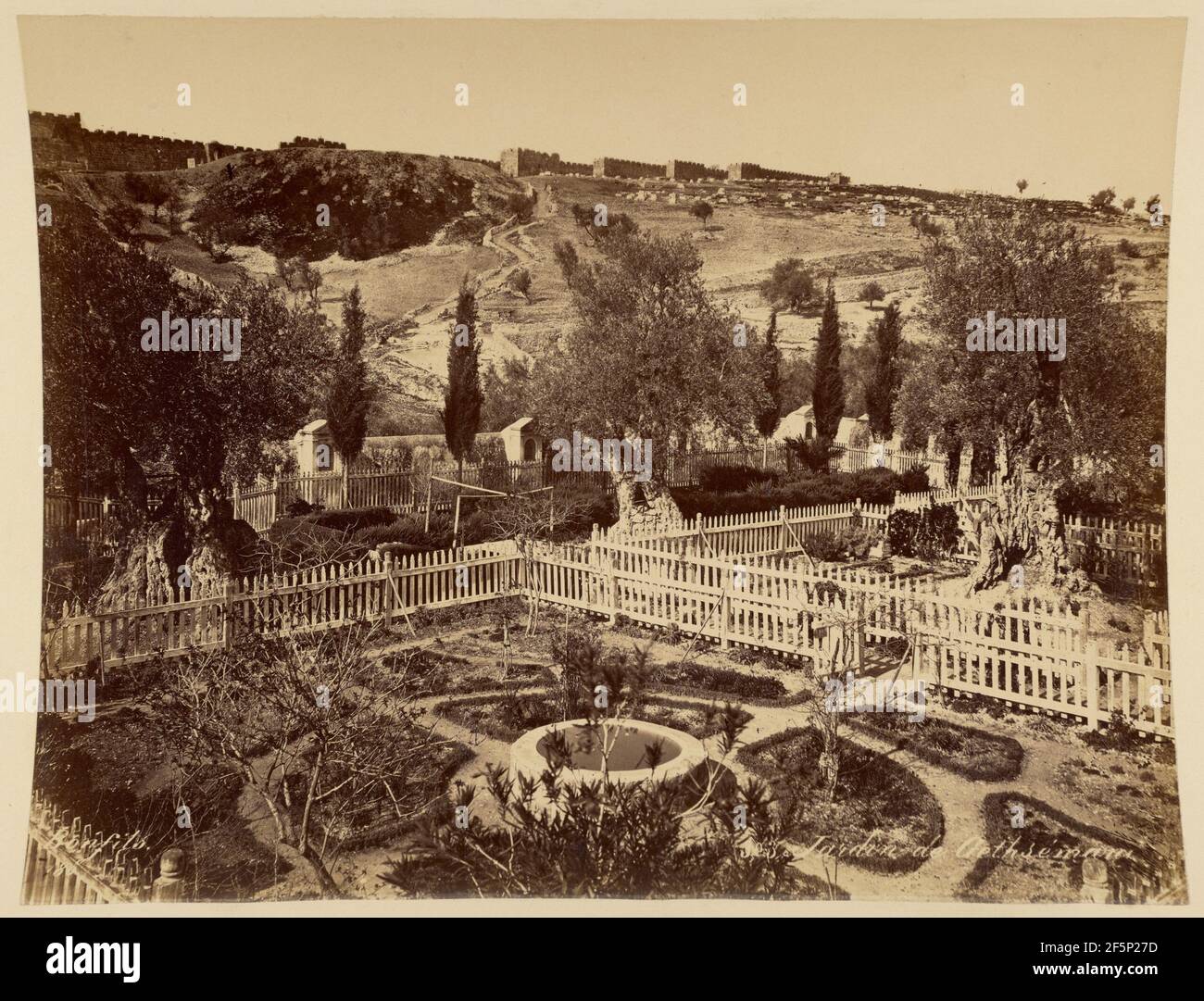 Jardin de Gethséman. Félix Bonfils (francese, 1831 - 1885) Foto Stock