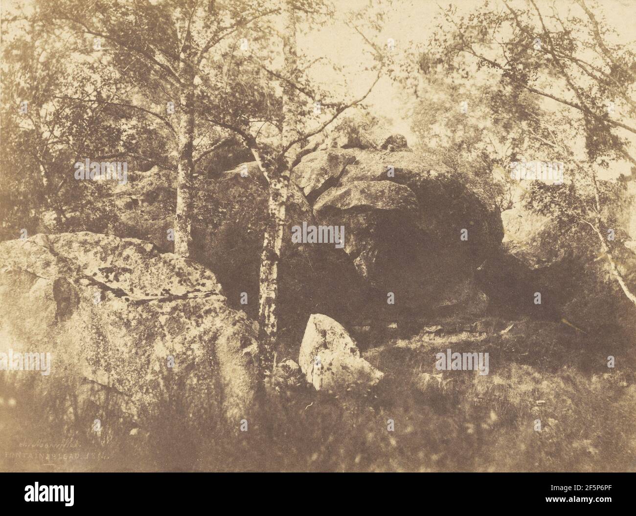 Fontainebleau. Charles Marville (francese, 1813 - 1879) Foto Stock