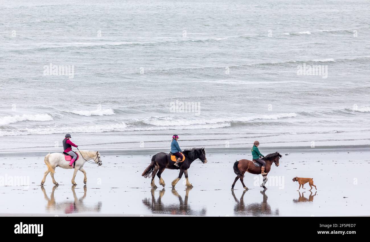 Coolmain, Cork, Irlanda. 27 marzo 2021. Jessie, Susan ed Ella Nicholson salutano un cane Boxer mentre fuori cavalcando a Coolmain, Co. Cork, Irlanda. - credito; David Creedon / Alamy Live News Foto Stock