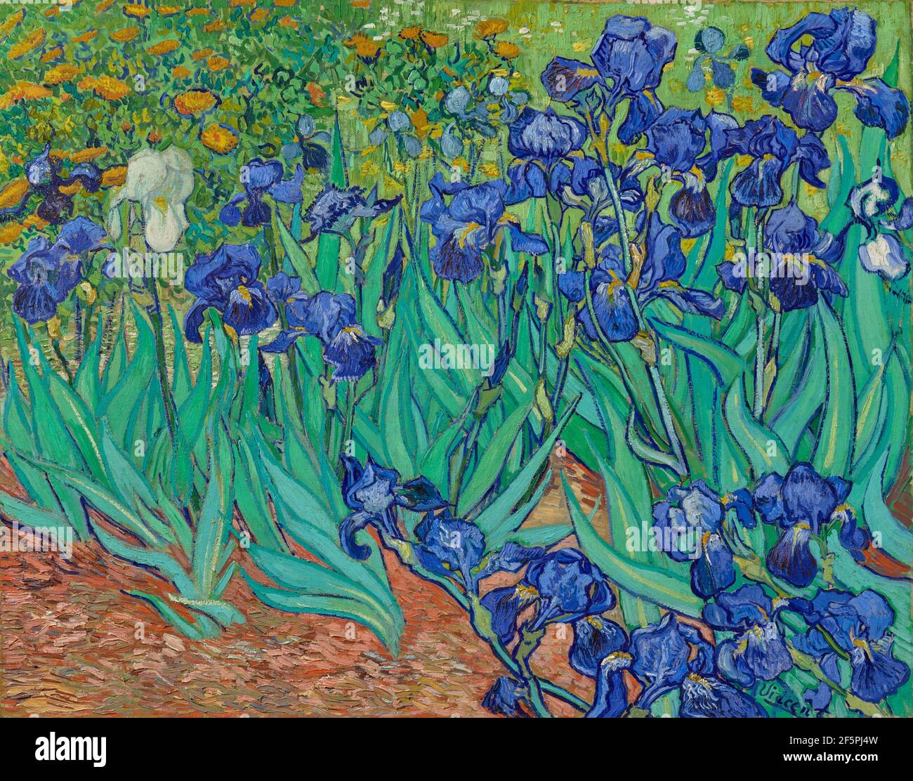 Iris. Vincent van Gogh (olandese, 1853 - 1890) Foto Stock