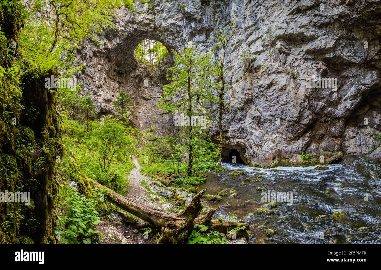 Buco nella grotta di Zelske Jama, fiume Rak, Rakov Skocjan, Slovenia Foto Stock