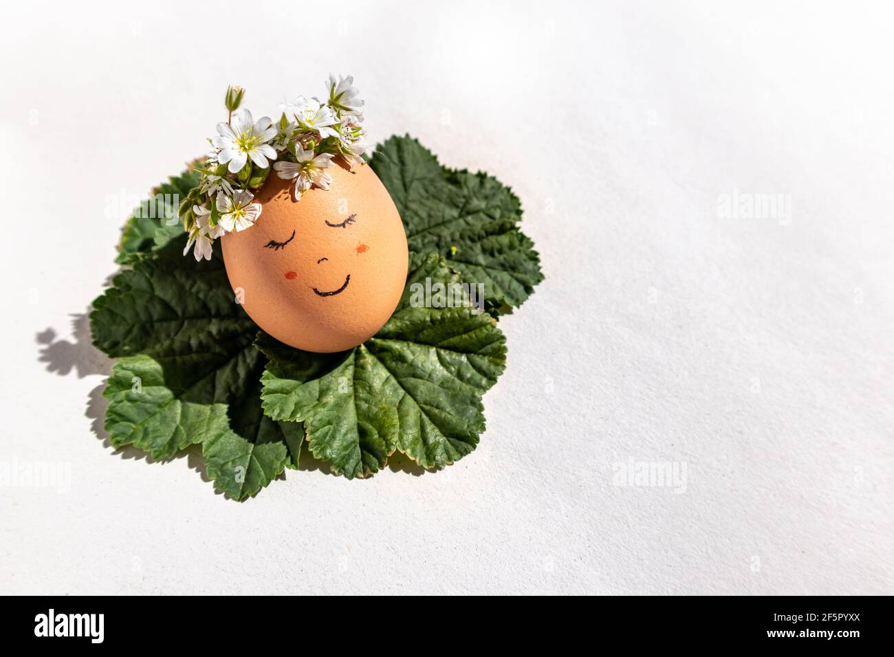 Un uovo sorridente per un concetto di Pasqua e Primavera. Un uovo con una faccia sorridente e una corona di fiori che gode il sole di primavera sulle foglie di mallow. Foto Stock