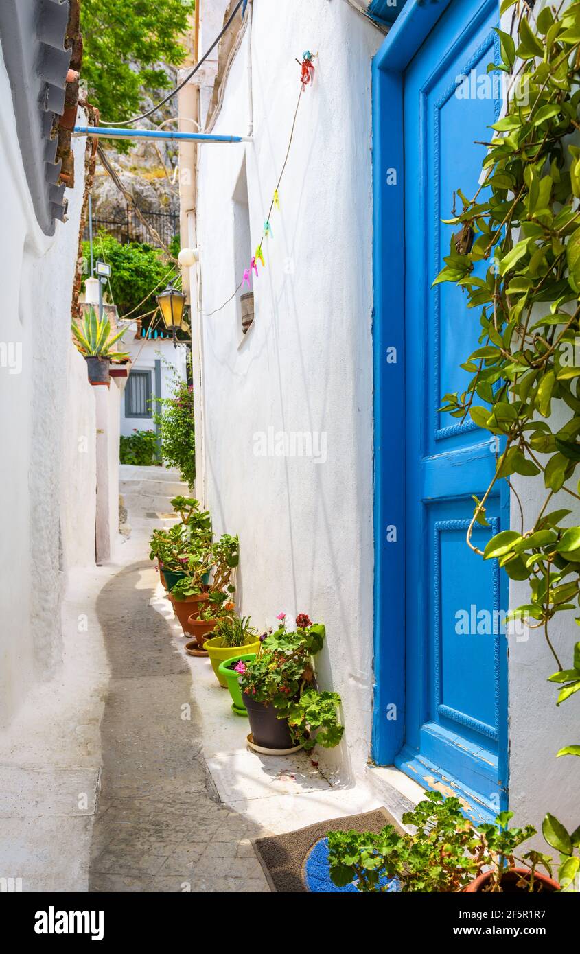 Accogliente strada stretta nel quartiere di Plaka, Atene, Grecia. Plaka è un'attrazione turistica di Atene. Vicolo con piante e vecchie case residenziali tipiche con Foto Stock