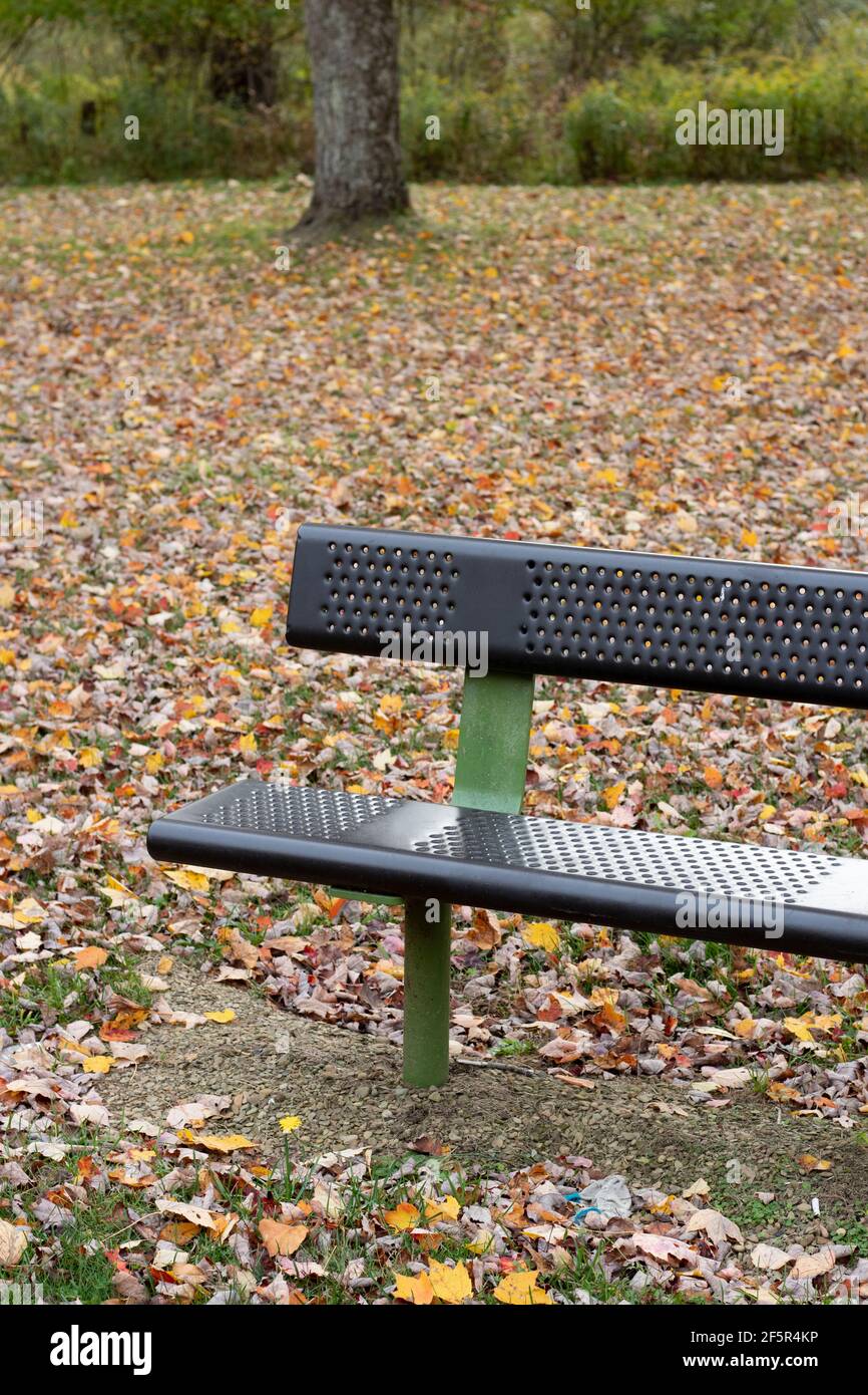 Panca vuota in città o parco cittadino con autunno foglie sull'erba Foto Stock