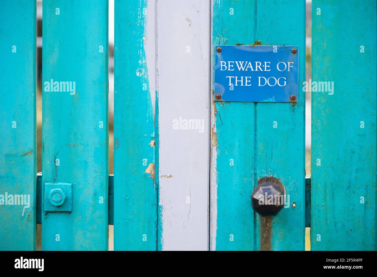 Attenzione al segno del cane sul cancello blu della casa di legno Foto Stock